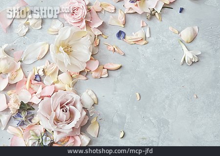 
                Blütenblätter, Pastelltöne, Zart                   