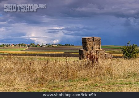 
                Feld, Landwirtschaft, Strohballen, Auvergne                   