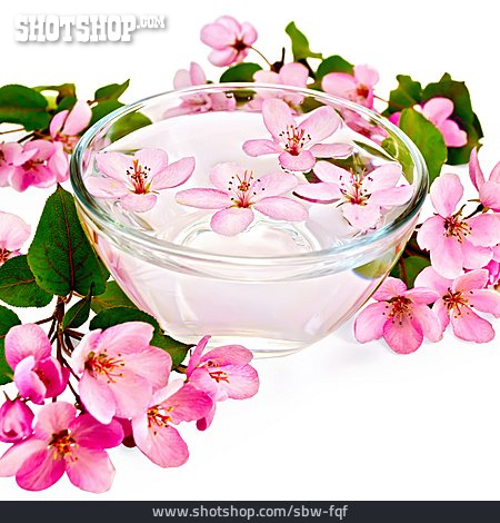 
                Blüte, Apfelblüte, Aromatherapie, Blumendekoration                   