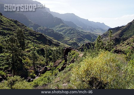 
                Berglandschaft, Gran Canaria, Rural Del Nublo Park                   
