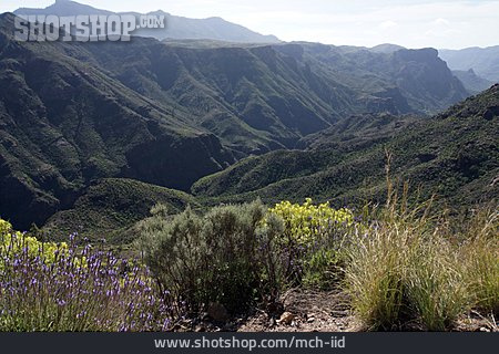 
                Berglandschaft, Gran Canaria, Wandergebiet                   