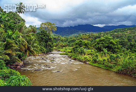 
                Fluss, Vegetation, Sumatra, Indonesien                   