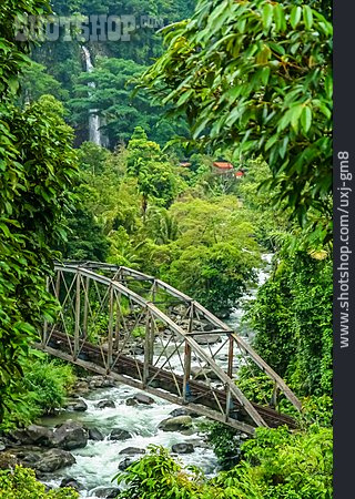 
                Bach, Urwald, Brücke, Sumatra                   