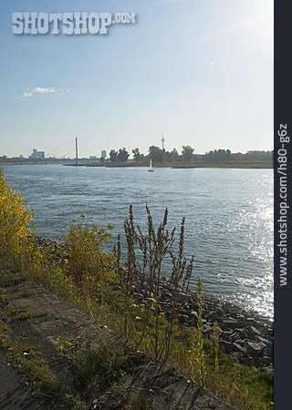 
                Rhein                   