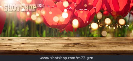 
                Holztisch, Tulpen, Lichtpunkte                   