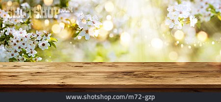 
                Holztisch, Obstblüte                   