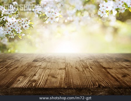
                Textfreiraum, Hintergrund, Sonnenlicht, Frühling                   