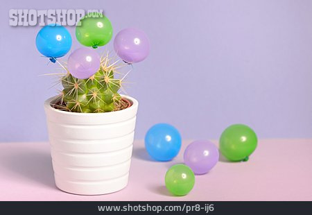 
                Luftballon, Kaktus                   
