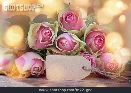 
                Copy Space, Map, Roses, Rose Bouquet, Greeting Card                   