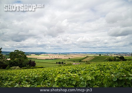 
                Frankreich, Weinbauregion, Champagne-ardenne                   