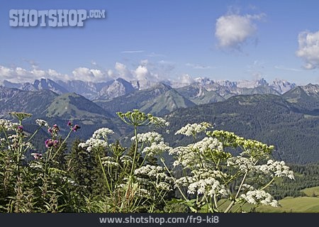 
                Tirol, Karwendel, Almlandschaft                   