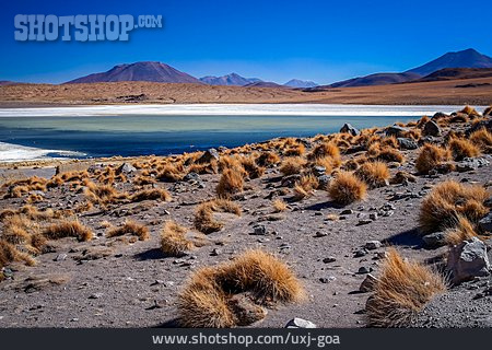 
                Bolivien, Salzablagerung, Trockengebiet, Altiplano                   