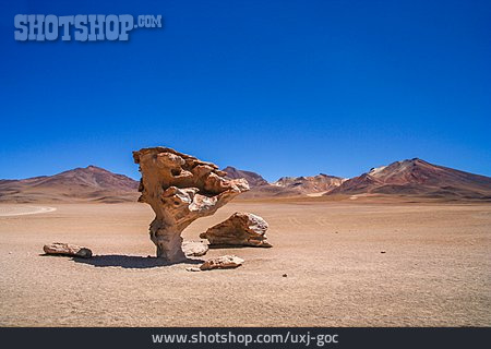 
                Bolivien, Vulkangestein, árbol De Piedra, Windabrasion                   
