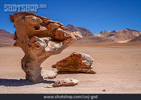 
                Bolivien, árbol De Piedra                   