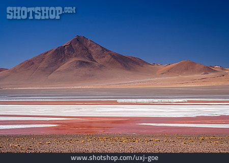 
                Salzwüste, Andenhochland, Altiplano, Laguna Colorada                   