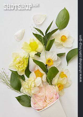 
                Blütenblätter, Blumendekoration, Blumenarrangement                   