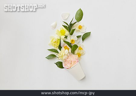 
                Frühlingsbote, Floristik, Blumendekoration                   