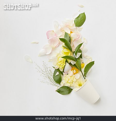 
                Blütenblätter, Floristik, Blumendekoration                   