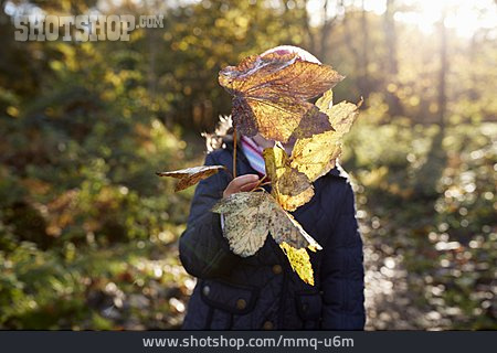 
                Herbst, Laub, Verstecken, Kindheit                   