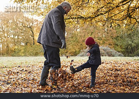 
                Großvater, Spaziergang, Laub, Herbstlaub, Enkeltochter                   
