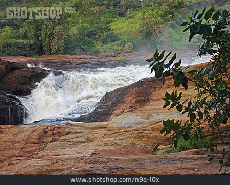 
                Uganda, Murchison Falls, Victoria-nil                   