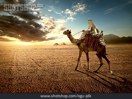 
                Wüste, Kamel, Beduine                   