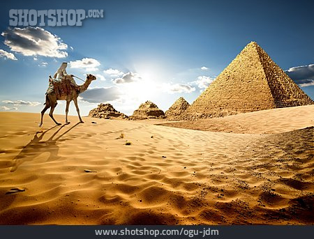 
                Wüste, Pyramide, Kamel, Beduine                   