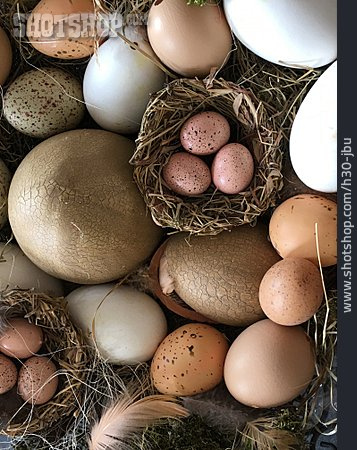 
                Eier, Naturfarben                   