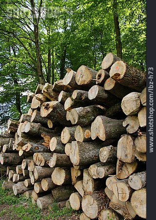
                Holzstapel, Forstwirtschaft, Brennholz                   