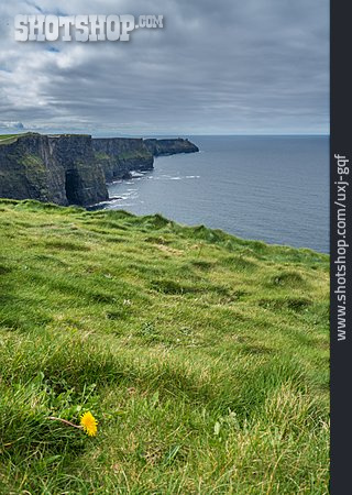 
                Irland, Cliffs Of Moher                   