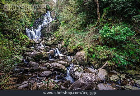 
                Wasserfall, Wildbach, Torc Waterfall                   
