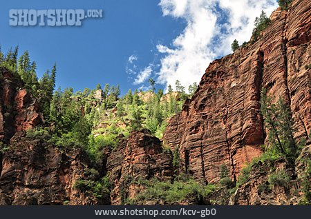 
                Schlucht, Zion National Park, Utah                   