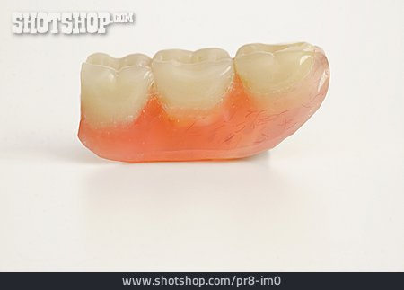 
                Zahnprothese                   