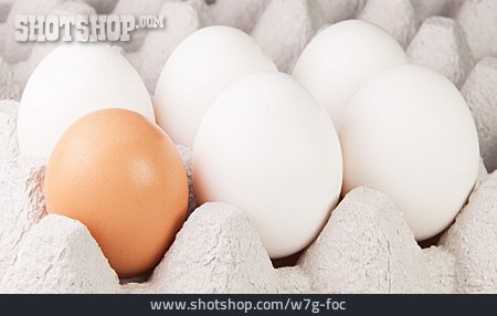 
                Eier, Eierschachtel                   