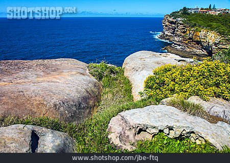 
                Australien, New South Wales, Sydney-harbour-nationalpark                   