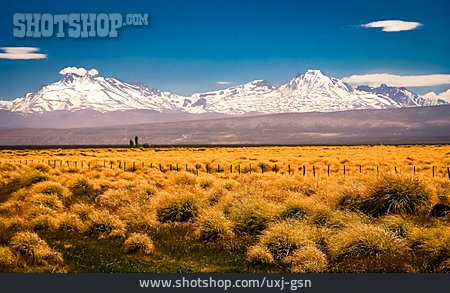 
                Patagonien, Argentinien, Pampa                   