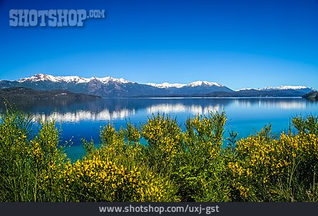 
                See, Patagonien, Argentinien, Nahuel Huapi                   