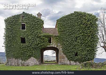
                Ruine, Bauernhof, Istrien                   