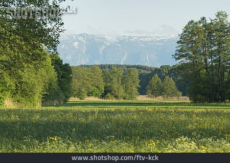 
                Landschaft, Berchtesgadener Alpen, Untersberg                   