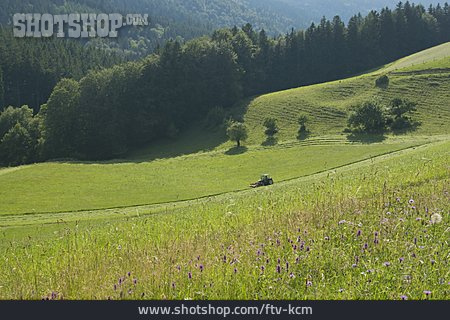 
                Landwirtschaft, Mähdrescher, Berchtesgadener Land                   