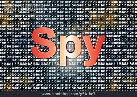 
                Virus, Spionage, Spyware                   