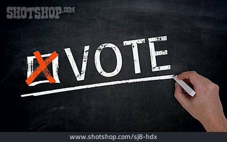 
                Election, Democracy, Vote                   
