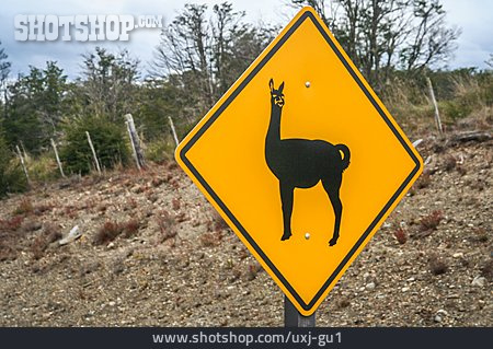 
                Information Sign, Wildlife, Ruta Nacional 40                   
