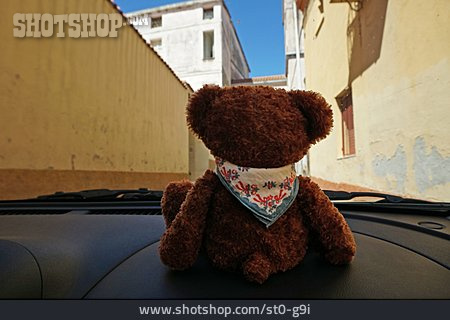 
                Stadtrundfahrt, Teddybär                   