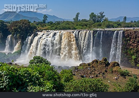 
                Wasserfall, äthiopien, Tisissat-wasserfälle                   