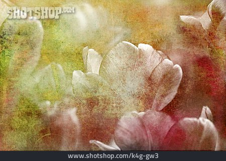 
                Hintergrund, Blumenmuster, Farbschichten                   