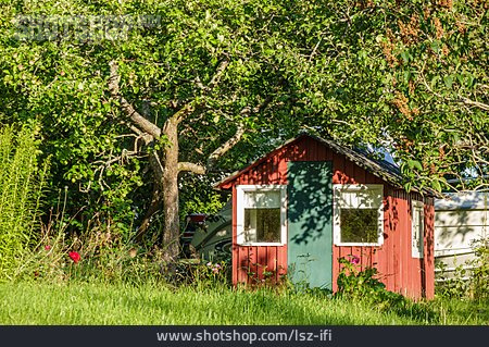 
                Garten, Hütte, Schweden, Apfelbaum                   