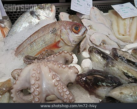 
                Meeresfrüchte, Fischmarkt, Fangfrisch                   