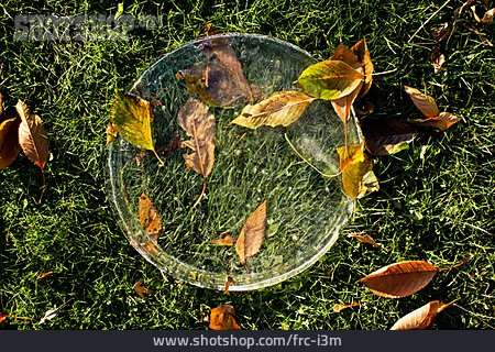 
                Laub, Gefroren, Frost                   