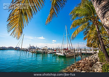 
                Yachthafen, Miami, South Beach                   